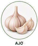 Ajo