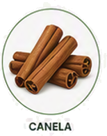 Canela