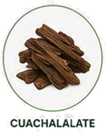 Cuachalalate